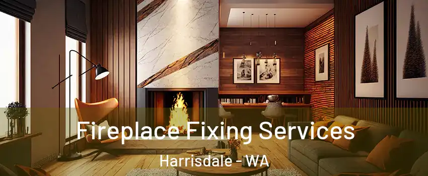 Fireplace Fixing Services Harrisdale - WA