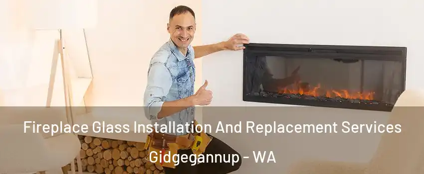 Fireplace Glass Installation And Replacement Services Gidgegannup - WA
