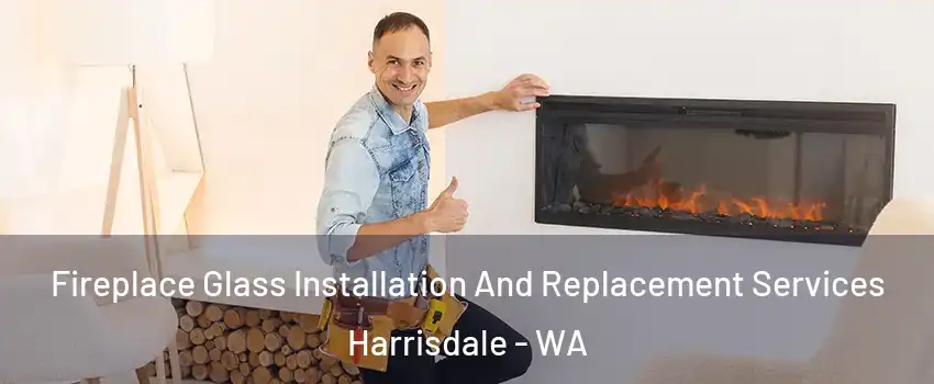 Fireplace Glass Installation And Replacement Services Harrisdale - WA