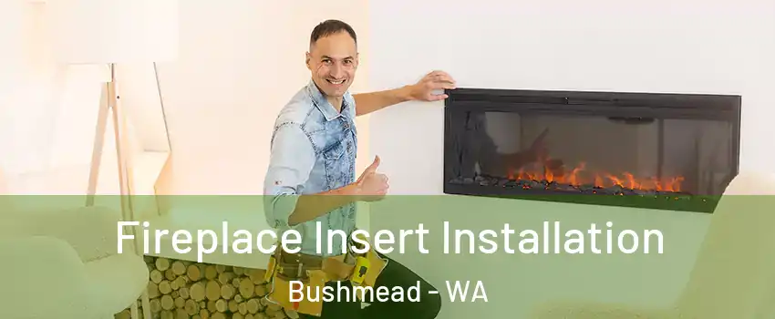 Fireplace Insert Installation Bushmead - WA