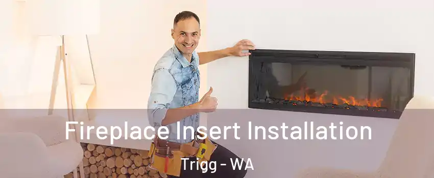 Fireplace Insert Installation Trigg - WA