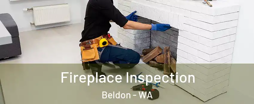 Fireplace Inspection Beldon - WA