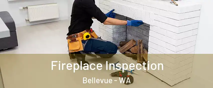 Fireplace Inspection Bellevue - WA