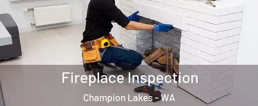 Fireplace Inspection Champion Lakes - WA