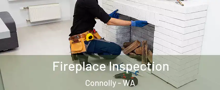 Fireplace Inspection Connolly - WA