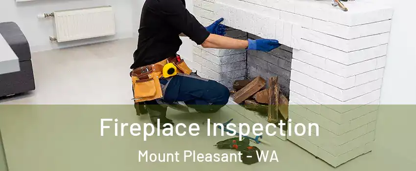 Fireplace Inspection Mount Pleasant - WA