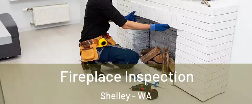 Fireplace Inspection Shelley - WA
