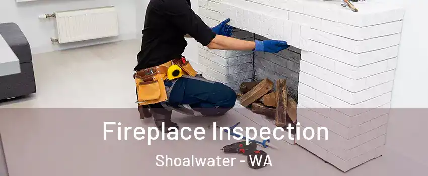 Fireplace Inspection Shoalwater - WA