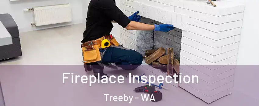 Fireplace Inspection Treeby - WA
