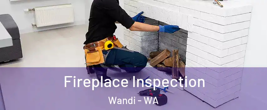 Fireplace Inspection Wandi - WA
