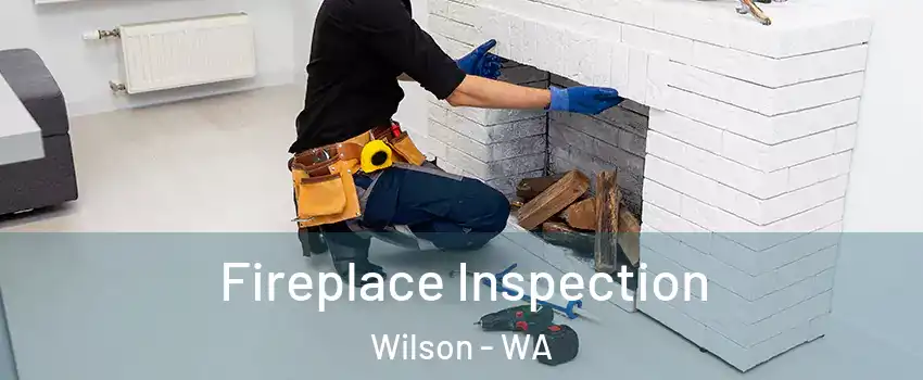 Fireplace Inspection Wilson - WA