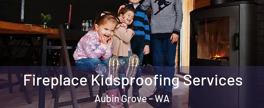 Fireplace Kidsproofing Services Aubin Grove - WA