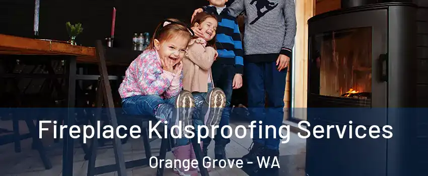 Fireplace Kidsproofing Services Orange Grove - WA