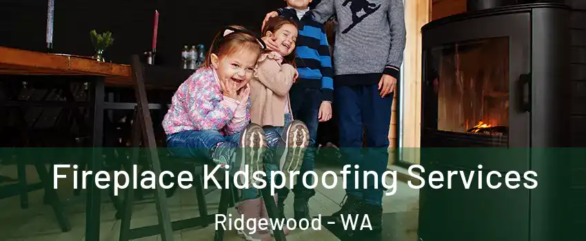 Fireplace Kidsproofing Services Ridgewood - WA