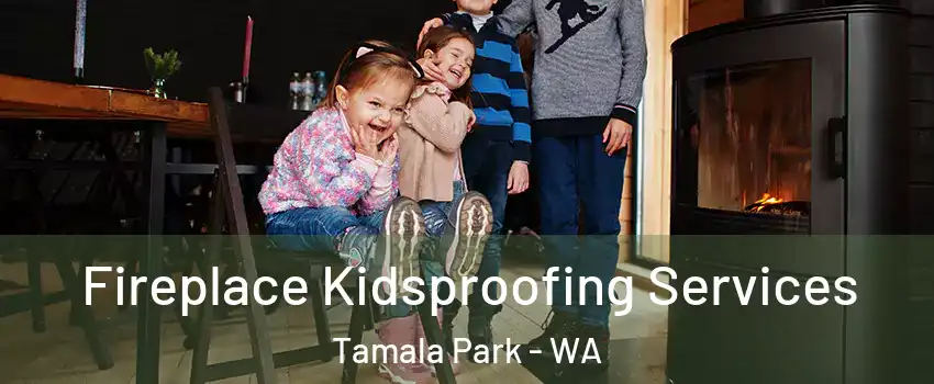Fireplace Kidsproofing Services Tamala Park - WA