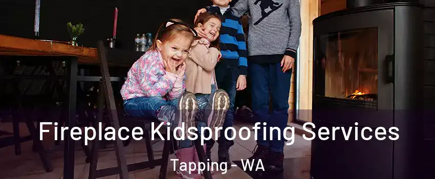 Fireplace Kidsproofing Services Tapping - WA