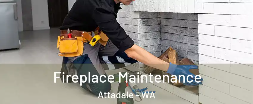 Fireplace Maintenance Attadale - WA