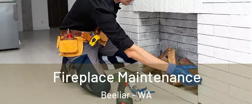 Fireplace Maintenance Beeliar - WA