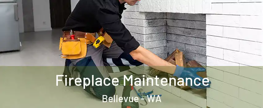 Fireplace Maintenance Bellevue - WA