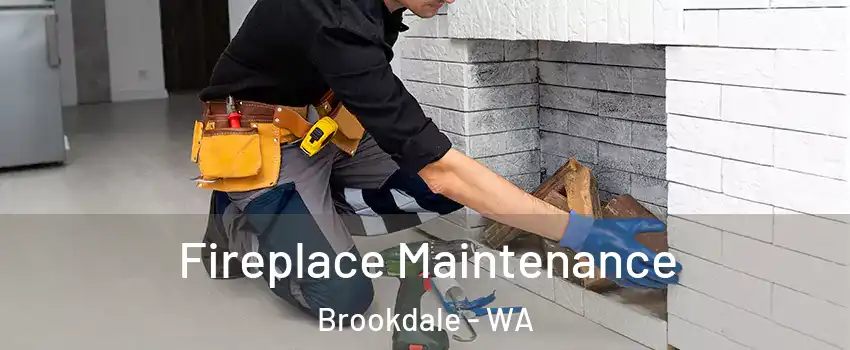 Fireplace Maintenance Brookdale - WA