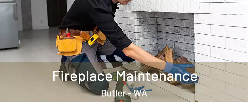 Fireplace Maintenance Butler - WA