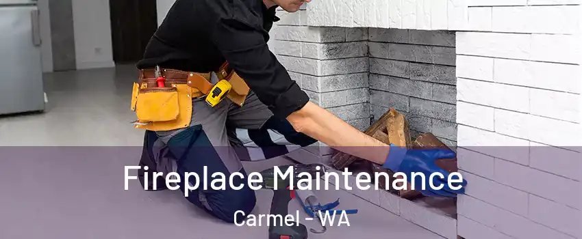 Fireplace Maintenance Carmel - WA