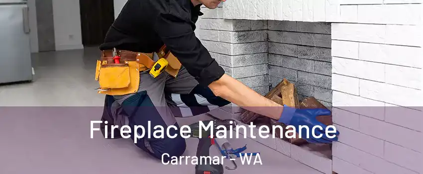 Fireplace Maintenance Carramar - WA