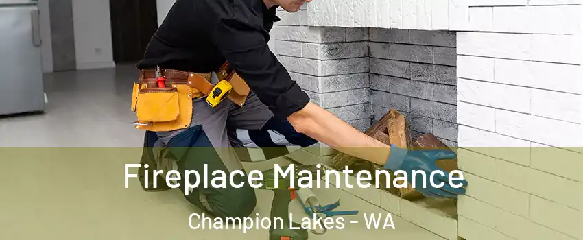 Fireplace Maintenance Champion Lakes - WA