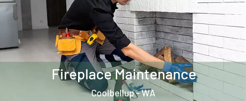 Fireplace Maintenance Coolbellup - WA
