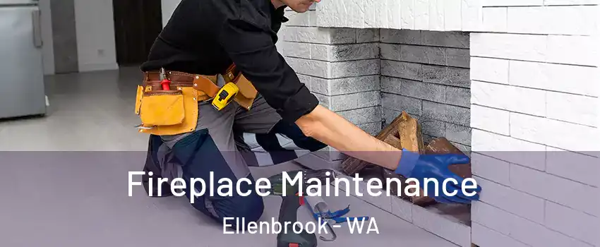 Fireplace Maintenance Ellenbrook - WA