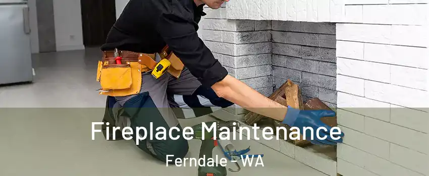 Fireplace Maintenance Ferndale - WA