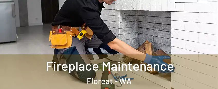 Fireplace Maintenance Floreat - WA