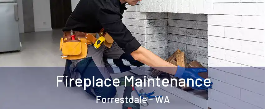 Fireplace Maintenance Forrestdale - WA