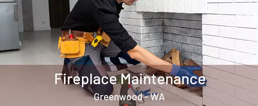 Fireplace Maintenance Greenwood - WA