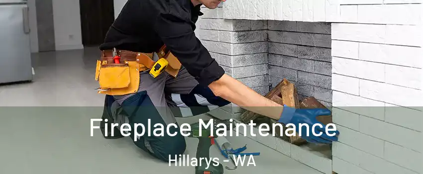 Fireplace Maintenance Hillarys - WA