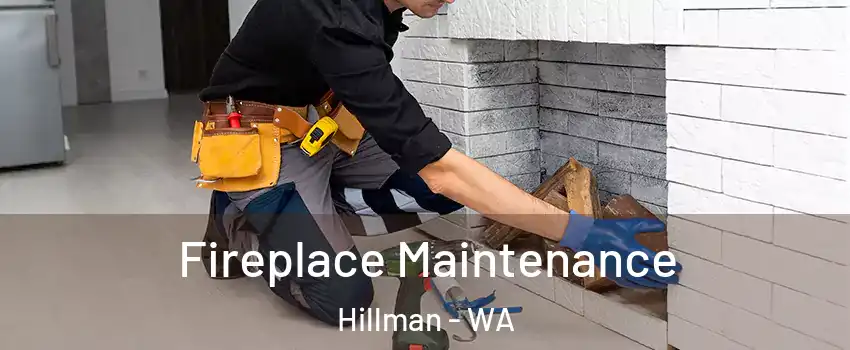 Fireplace Maintenance Hillman - WA