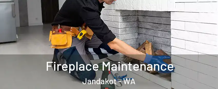 Fireplace Maintenance Jandakot - WA