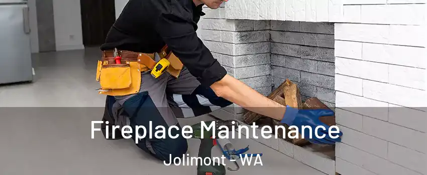 Fireplace Maintenance Jolimont - WA
