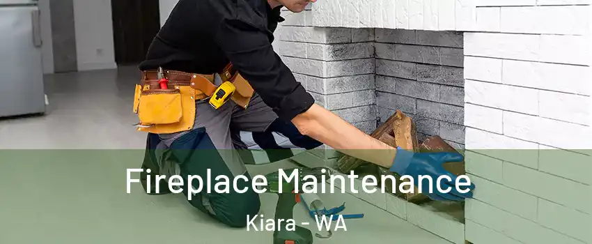 Fireplace Maintenance Kiara - WA