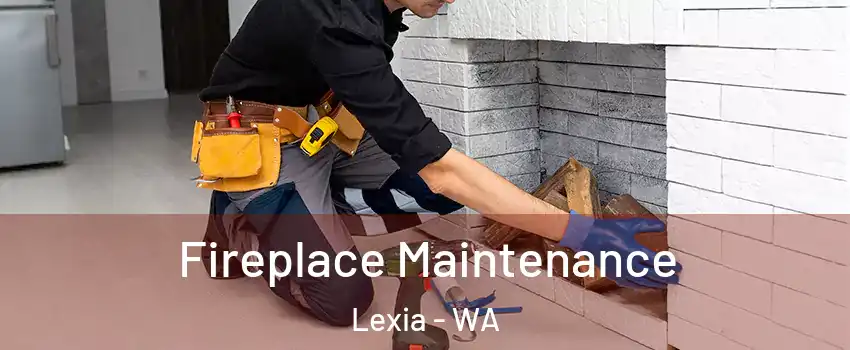 Fireplace Maintenance Lexia - WA