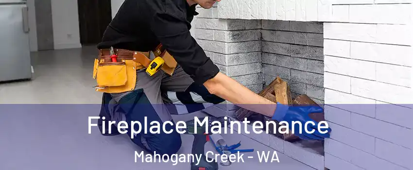 Fireplace Maintenance Mahogany Creek - WA