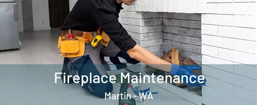 Fireplace Maintenance Martin - WA