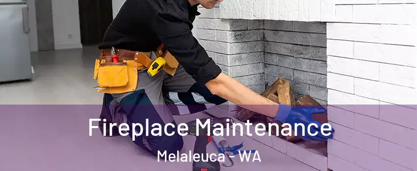 Fireplace Maintenance Melaleuca - WA