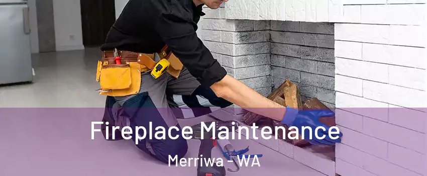 Fireplace Maintenance Merriwa - WA