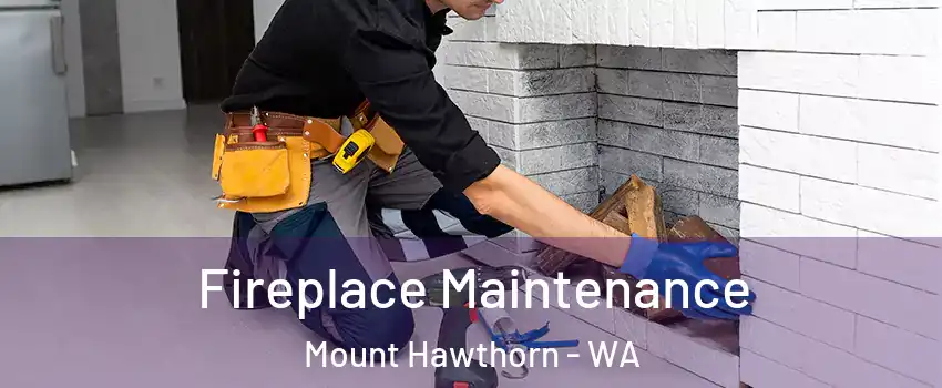 Fireplace Maintenance Mount Hawthorn - WA