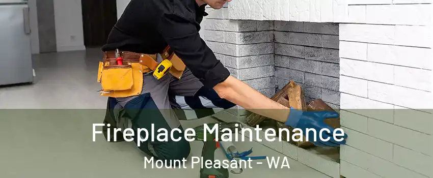 Fireplace Maintenance Mount Pleasant - WA