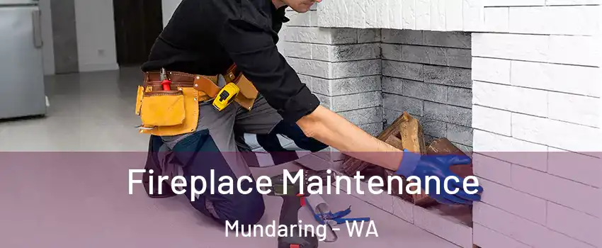 Fireplace Maintenance Mundaring - WA