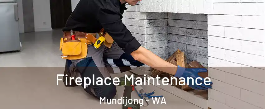 Fireplace Maintenance Mundijong - WA