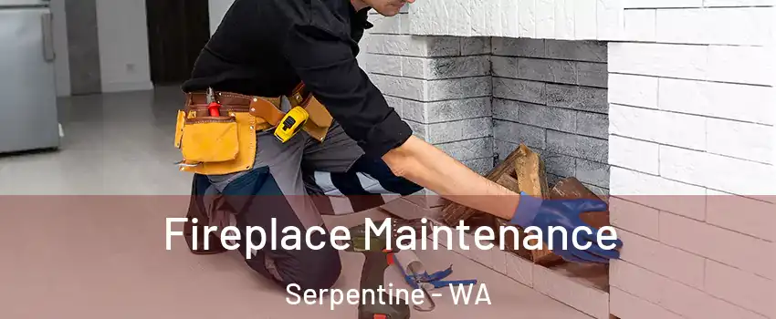 Fireplace Maintenance Serpentine - WA
