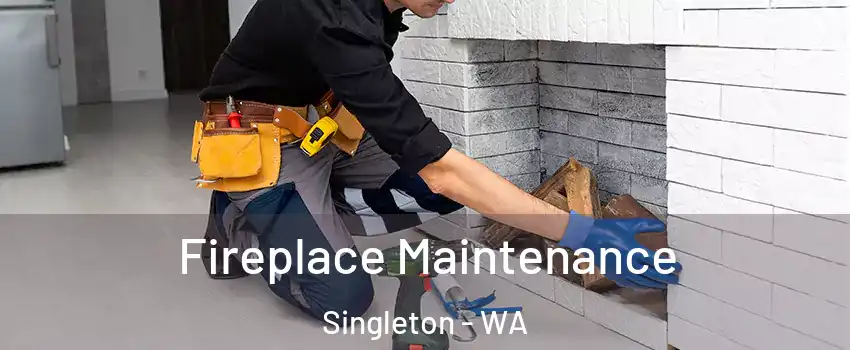 Fireplace Maintenance Singleton - WA